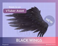 the black wings are ready to be used as an object for visual rendering and animation