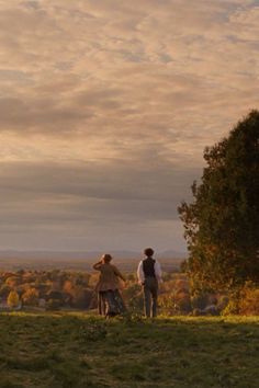 two people standing on top of a lush green field next to a tree and flying a kite