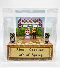 an acrylic display case with a couple on the stage for their wedding ceremony