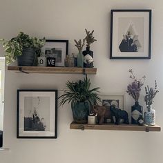 three wooden shelves with plants and pictures on them