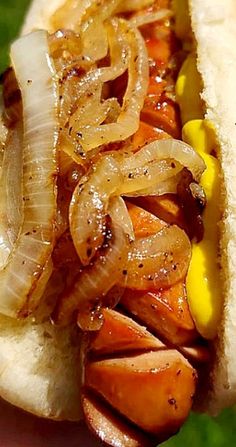 a hot dog with onions and mustard on it