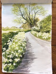 a watercolor painting of a country road with white flowers and trees in the background