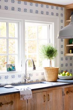 a kitchen sink with a bowl of fruit on the counter and a potted plant next to it