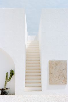 a white building with stairs leading up to the top floor and potted cactus in front of it