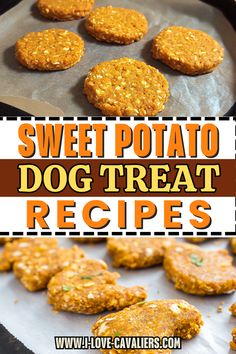 sweet potato dog treat recipe on a baking sheet with the title overlay above it