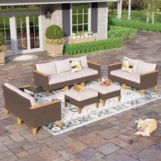 a dog laying on the ground next to some chairs and couches in front of a house