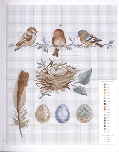 cross stitch pattern with birds and eggs on the branch, including one bird's nest