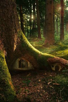 a tree house in the middle of a forest with moss growing on it's roof