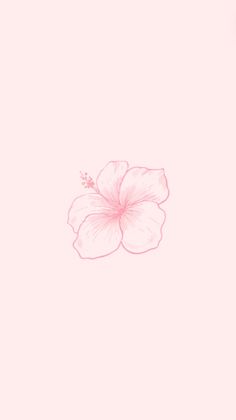 a drawing of a flower on a pink background