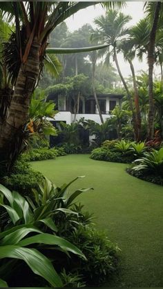 a lush green yard with palm trees and bushes in the foreground on a cloudy day