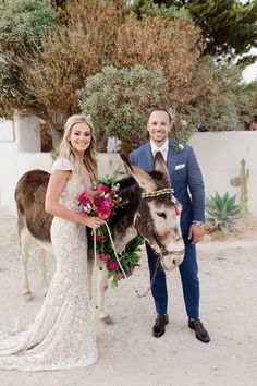 a bride and groom standing next to a donkey with flowers on it's head