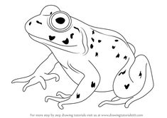 a frog with big eyes sitting on the ground coloring pages for kids, free printable