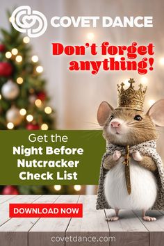 Nutcracker checklist helps dancers prepare for the show. Nutcracker Season, Dance Lifestyle, Bags Makeup, Ballet Performances, Fool Proof, Best Dance, Dance Life, Dance Competition