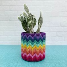 a potted cactus in a multicolored knitted container on a blue surface