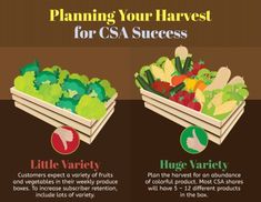 the four stages to planning your harvest for csa success infographical image below