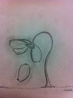 a drawing of a flower on a piece of paper that is drawn with black marker