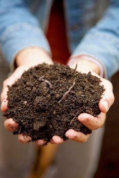 hands holding soil with the words composting tips and tricks