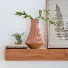 a vase sitting on top of a wooden shelf next to a potted plant and books