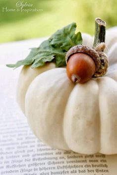 a small white pumpkin sitting on top of an open book