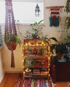 a room filled with lots of plants and books