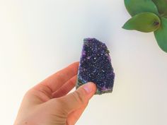 This amethyst has the highest quality of the semi precious stones. Its intense deep purple color is characteristic of the geodes extracted from URUGUAY, one of the few places in the world where you can find these formations. ✧ MEASURES (approximately) Width: 2 in x Height: 3 in. Weight 1/2 lb ✧ Our pieces are totally organic and natural and didn't suffer any chemical process. ✧ The back and base of these amethysts are natural basalt. ✧ Each piece represents an exact moment of the nature of the r Purple Raw Stone Crystals For Gift, Purple Natural Stones Geodes As A Gift, Purple Natural Stone Geodes For Gifts, Purple Geodes Natural Stones As Gift, Purple Geodes With Natural Stones As A Gift, Purple Entryway, Third Eye Chakra Stones, Amethyst Cathedral, Purple Quartz