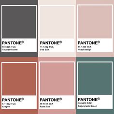 pantone's color swatches with different shades