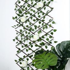 white roses and green leaves are arranged on the wall next to a potted plant