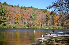 two people walking on the shore of a lake in front of trees with fall colors