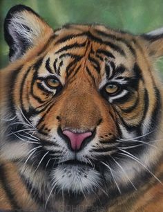 a painting of a tiger looking at the camera