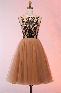 Tulle Appliques Vintage Short Homecoming Dress Champagne Homecoming Dresses, Winter Wedding Venues, Tulle Material, Tulle Sleeves, Prom Dresses Vintage