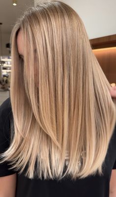 Partial Foil On Light Brown Hair, Natural Blonde Straight Hair, Dimensional Honey Blonde, Sunny Blonde Hair, Aveda Blonde, Sunny Blonde, Baylage Hair, Natural Looking Highlights, Blonde Hair Goals