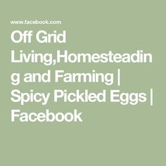 the words off grid living homesteadin g and farming spicy picked eggs facebook