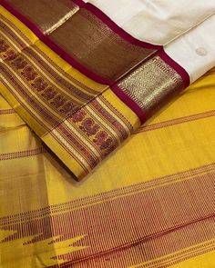 Saree Pleats, Saree Borders, Bharatanatyam Costume, Desi Outfits, Kanjivaram Saree