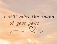 the words i still miss the sound of your paws are written in cursive font