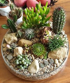 an assortment of succulents and rocks in a bowl