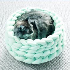 a cat is sitting in a bed made out of yarn