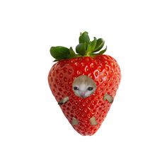 a strawberry with a small animal sticking out of it's center, on a white background