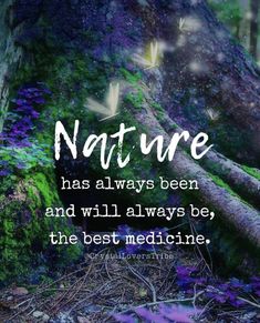 a quote on nature that says, nature has always been and will always be the best medicine