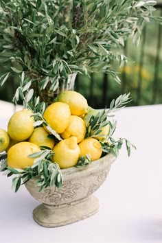 a bunch of lemons are in a bowl on a table with greenery around it