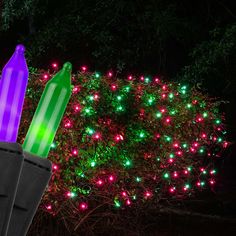 two green and purple lights in front of a bush with red and green lights on it