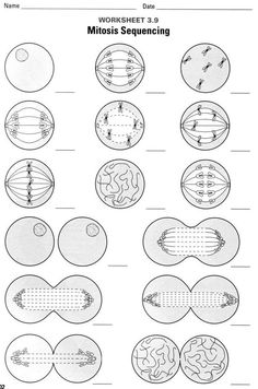 worksheet showing the different types of mitts and their functions in each cell