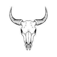 the skull of a bull with large horns on it's head is drawn in black and white