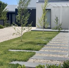 a small tree is in the middle of a yard with stepping stones and gravel on the ground