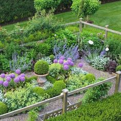 a garden filled with lots of different types of flowers