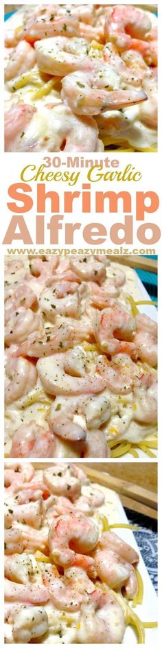 shrimp alfredo is an easy and delicious appetizer