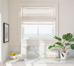 a white kitchen with marble counter tops and an artful potted plant on the window sill