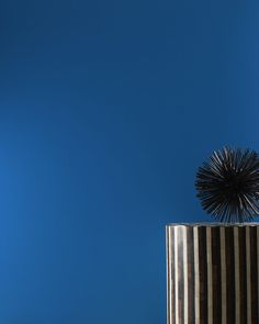 a black and white vase sitting on top of a table next to a blue wall