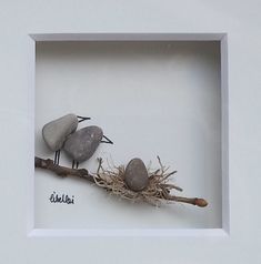 two small birds sitting on top of a branch in a white square frame with writing underneath it