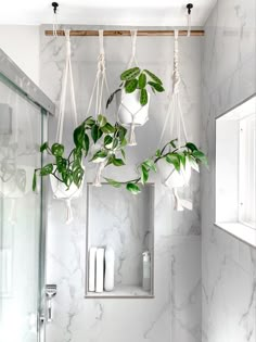 some plants hanging from the ceiling in a bathroom with white marble walls and flooring