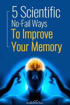 5 Scientific No-Fail Ways To Help Improve Your Memory Brain Cells